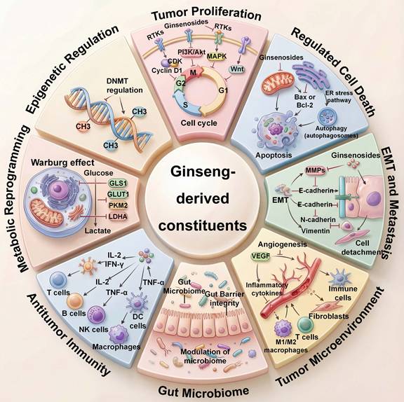 Int J Biol Sci Image