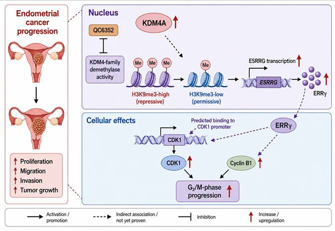Int J Biol Sci Image
