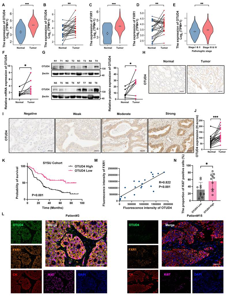 Int J Biol Sci Image