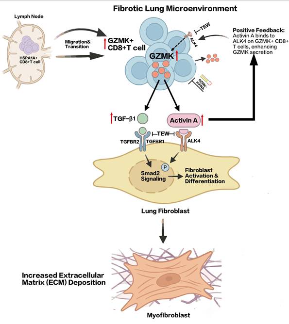 Int J Biol Sci Image