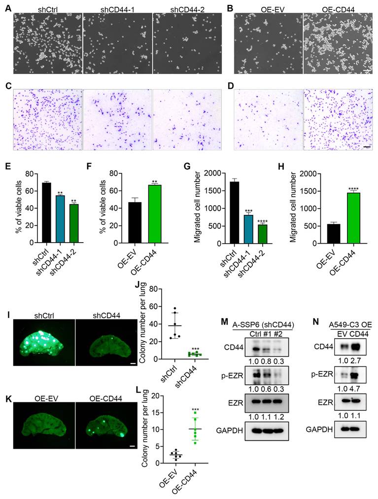 Int J Biol Sci Image