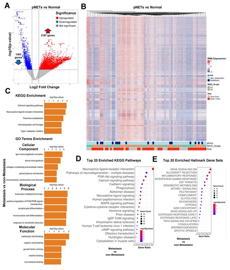 Int J Biol Sci Image