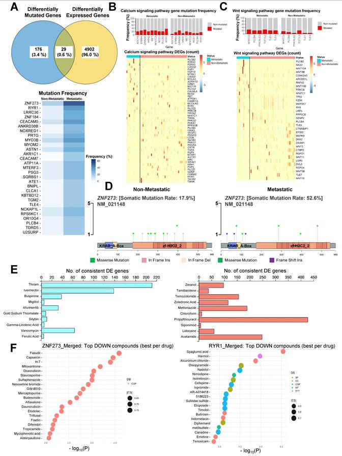 Int J Biol Sci Image