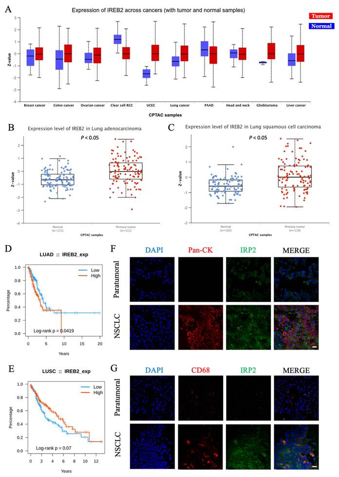 Int J Biol Sci Image
