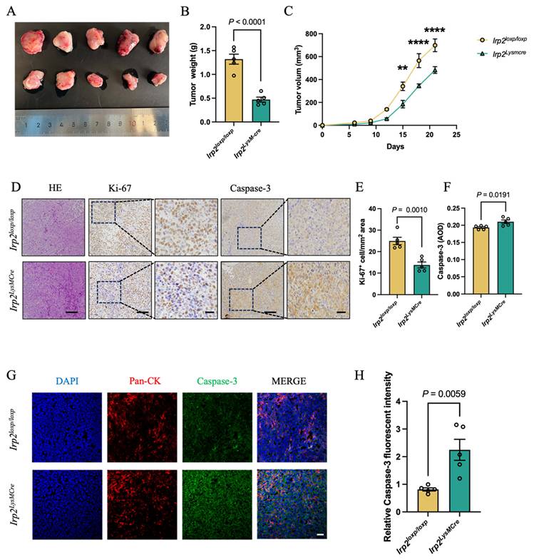Int J Biol Sci Image