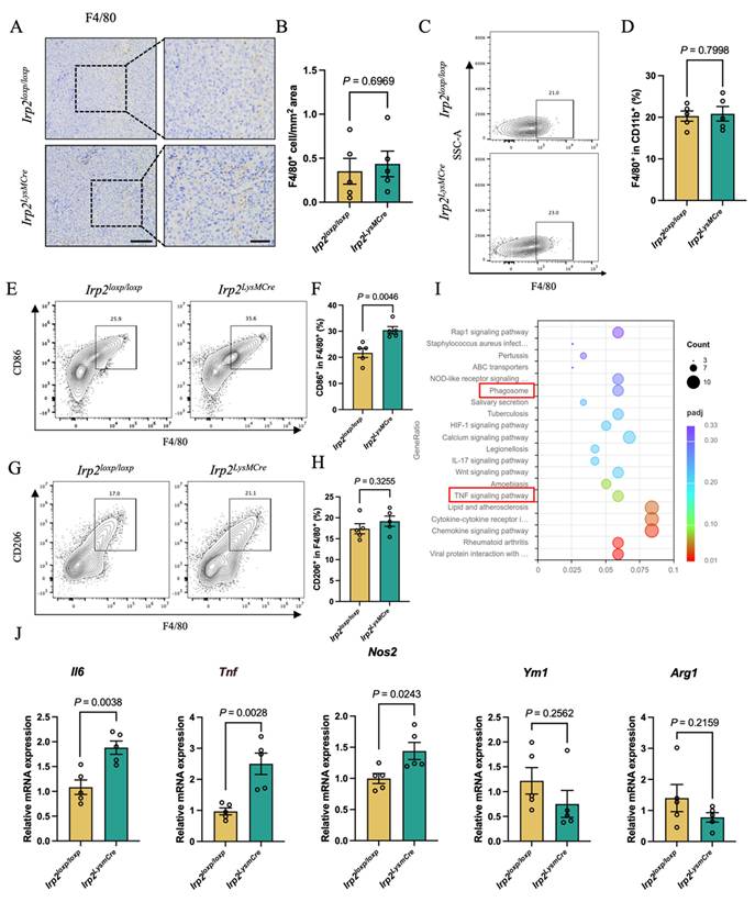 Int J Biol Sci Image