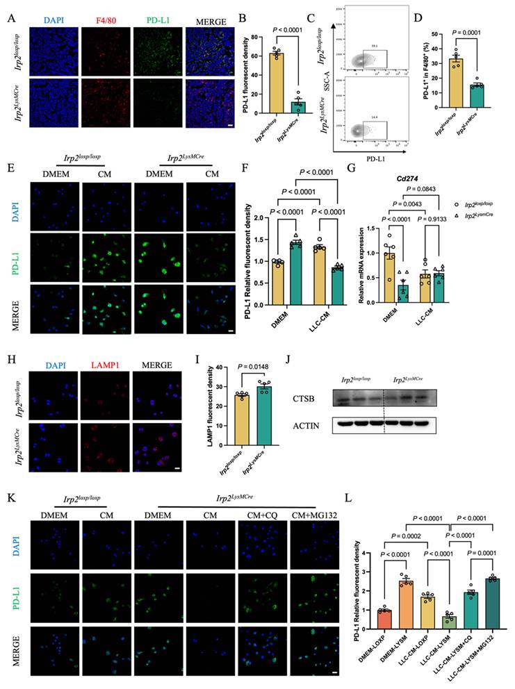 Int J Biol Sci Image