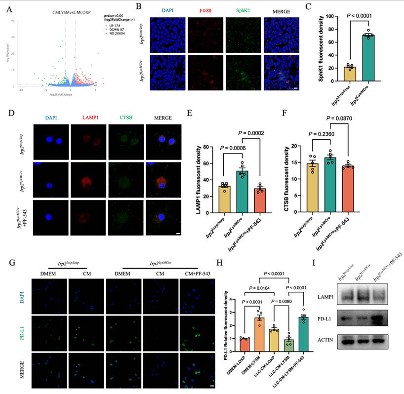 Int J Biol Sci Image