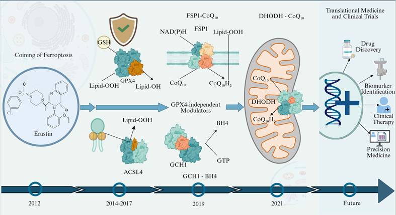 Int J Biol Sci Image