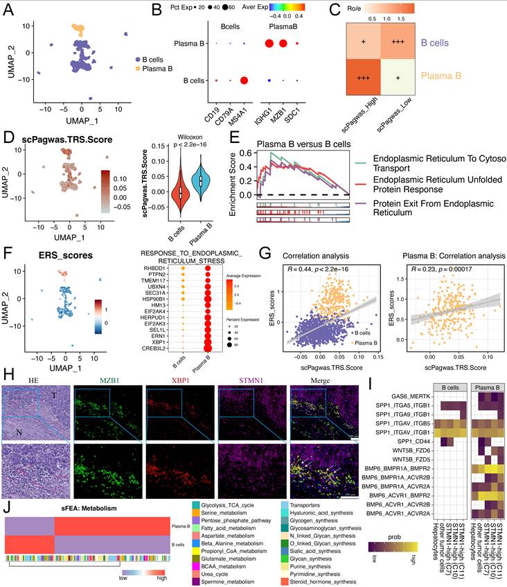 Int J Biol Sci Image