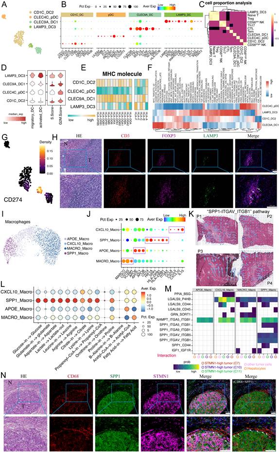 Int J Biol Sci Image