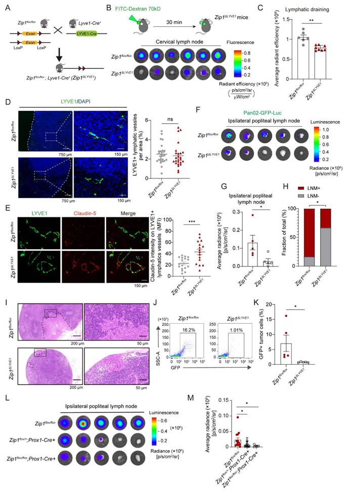 Int J Biol Sci Image