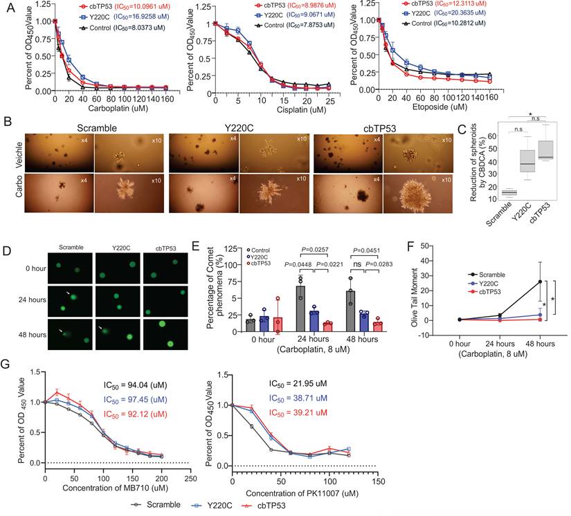 Int J Biol Sci Image