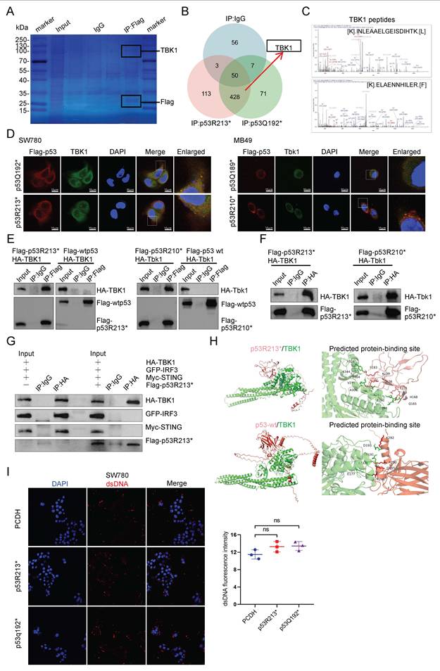 Int J Biol Sci Image