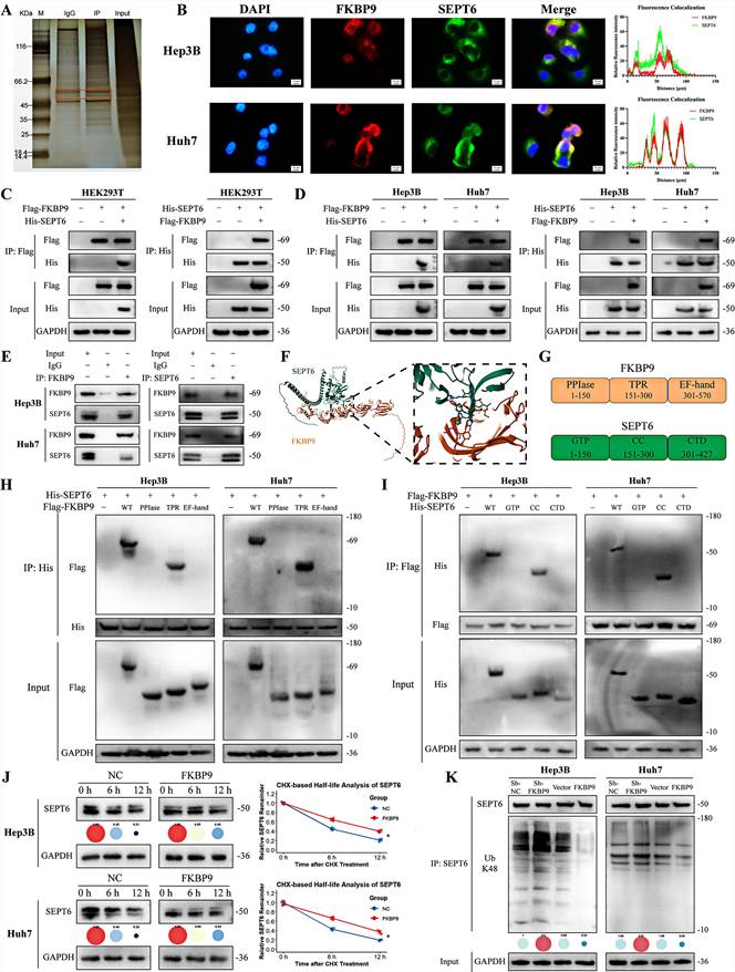 Int J Biol Sci Image