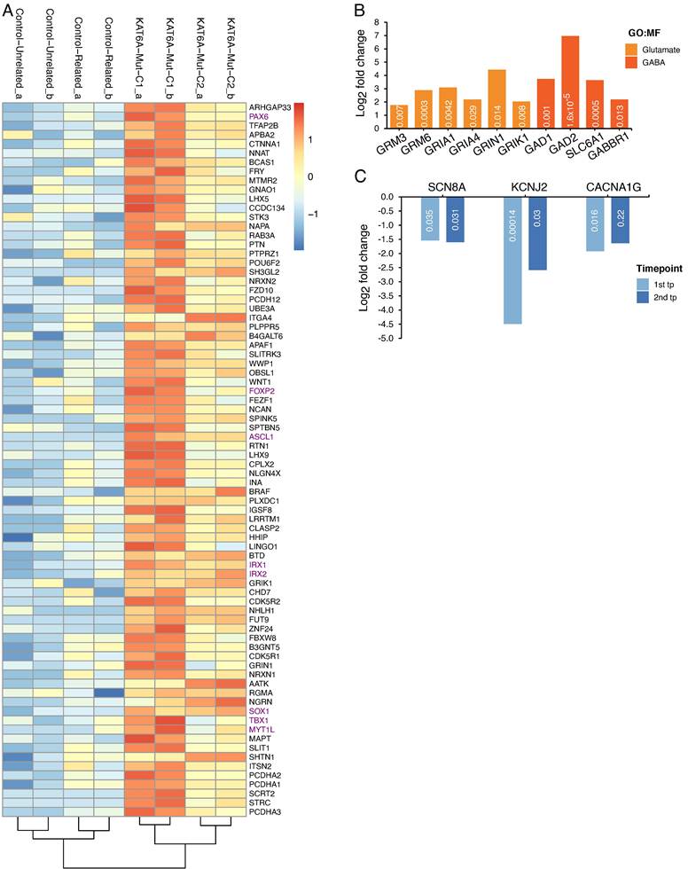 Int J Biol Sci Image