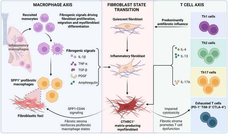 Int J Biol Sci Image
