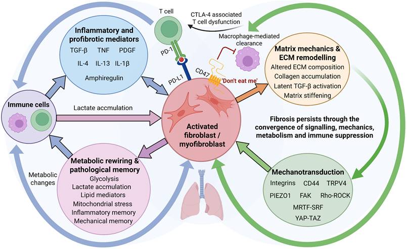 Int J Biol Sci Image