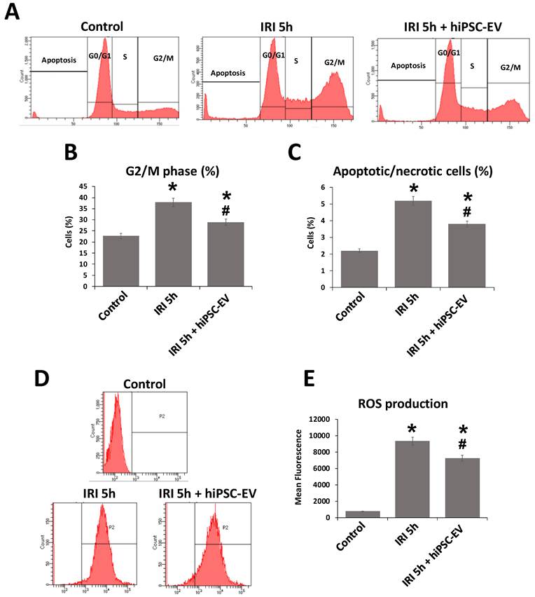 Int J Biol Sci Image