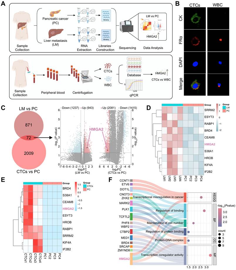 Int J Biol Sci Image