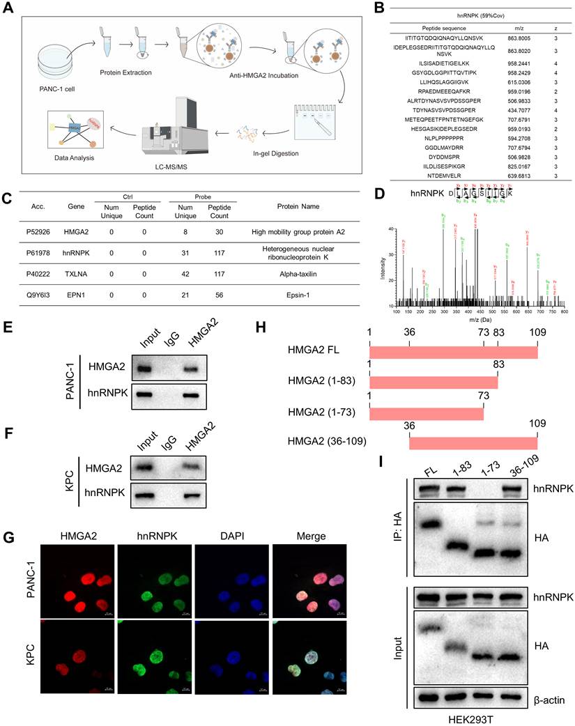 Int J Biol Sci Image