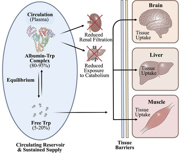 Int J Biol Sci Image