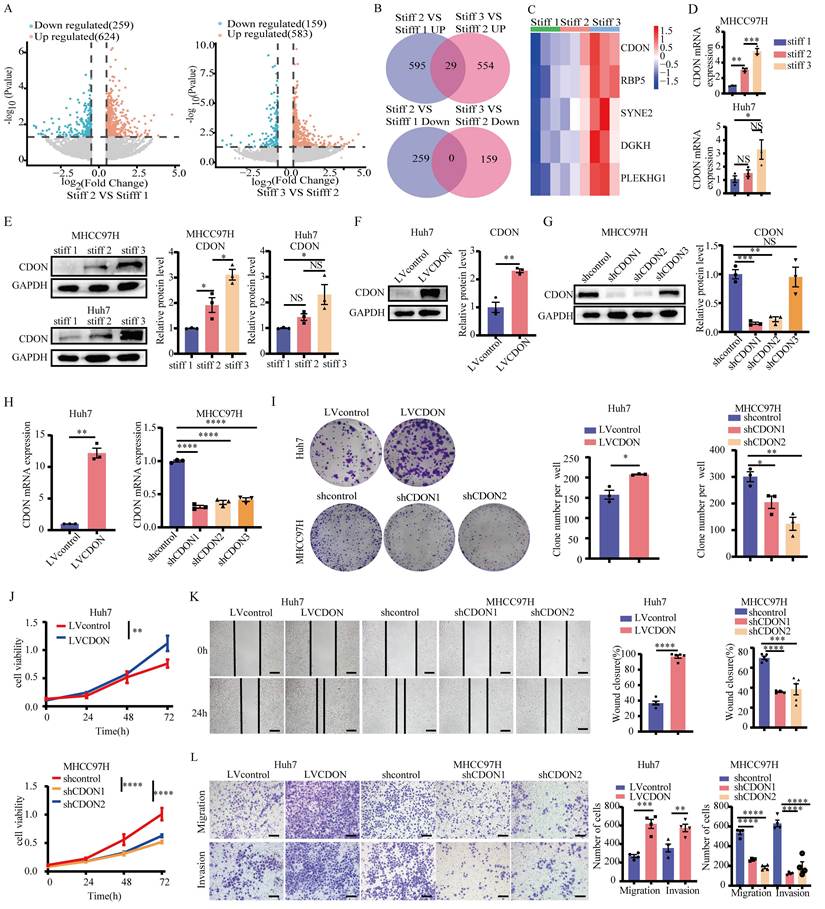Int J Biol Sci Image