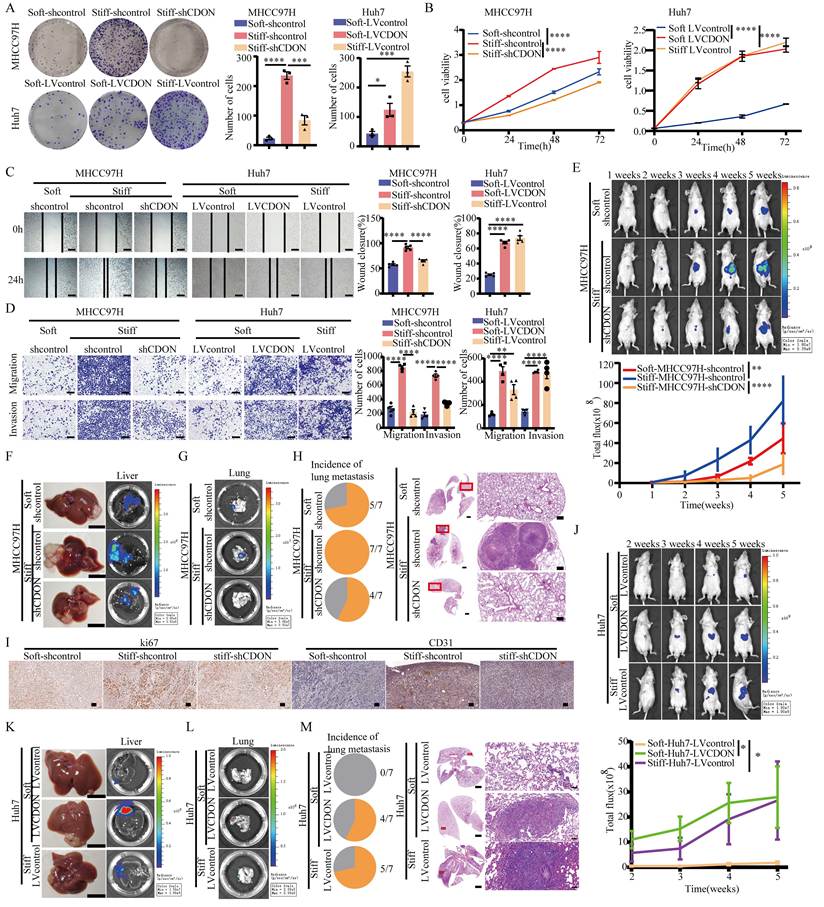 Int J Biol Sci Image