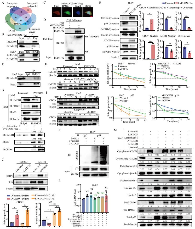 Int J Biol Sci Image