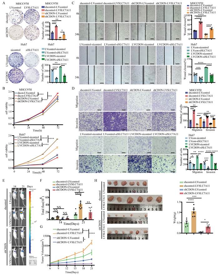 Int J Biol Sci Image
