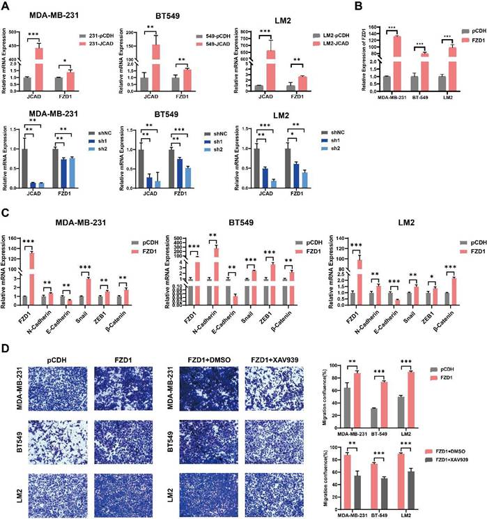 Int J Biol Sci Image
